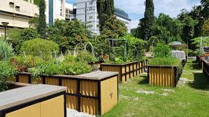 Urban Farming